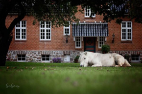 Søstgård B&B, Rødekro